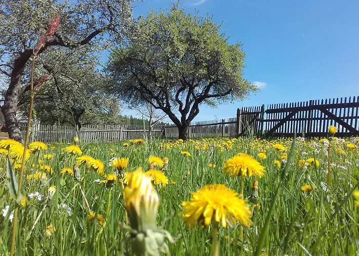Appartement 'am Vogelherd' Schleiz