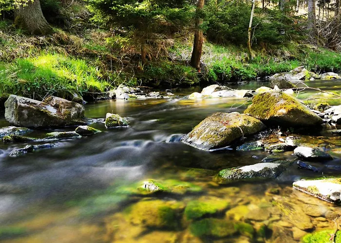 Appartement 'am Vogelherd' *