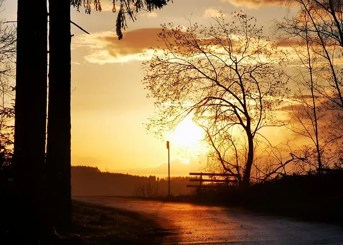 Appartement 'am Vogelherd'